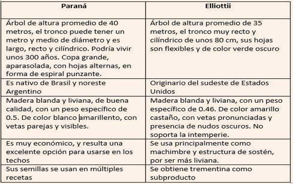 pinos-comparados