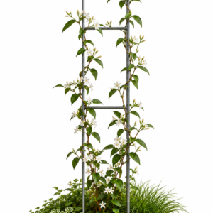 Tutor Planta Trepadora 60 cm Curvo
